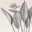 Palmira Natural Ready Made Mural