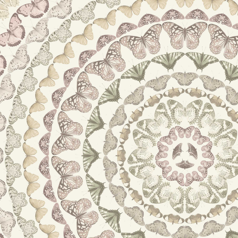 Papilion Pastel Wallpaper