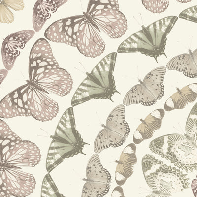 Papilion Pastel Wallpaper
