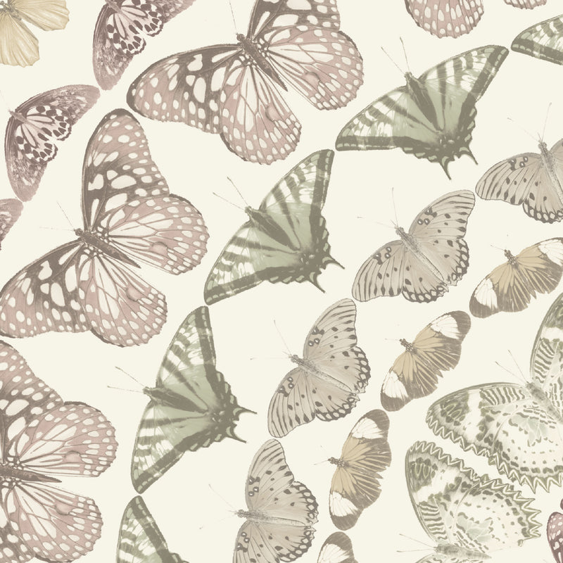 Papilion Pastel Wallpaper