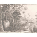 Skippy Sepia Ready Made Mural