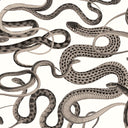 Snakes On A Plane Charcoal Wallpaper