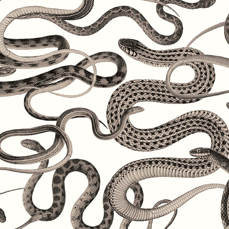 Snakes On A Plane Charcoal Wallpaper