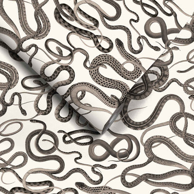 Snakes On A Plane Charcoal Wallpaper