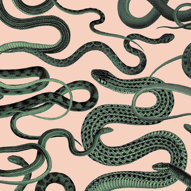 Snakes On A Plane Sherbet Wallpaper