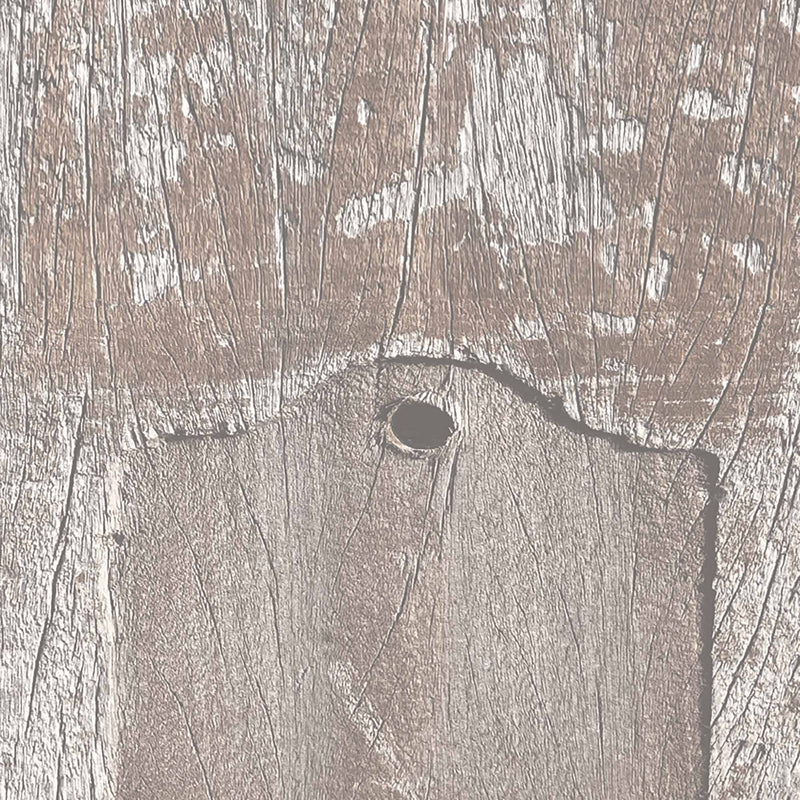 Driftwood Plank Sand Wallpaper