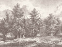 Lark Hill Umber Mural