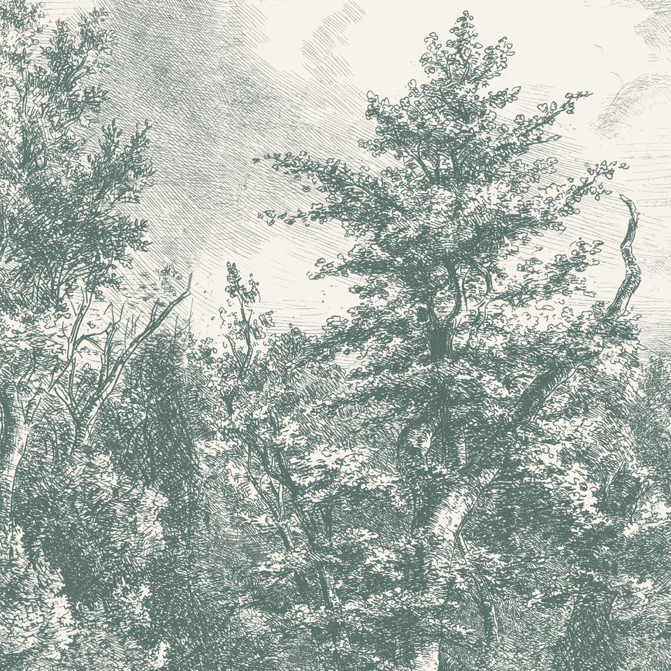 Bespoke Murals Collection | Woodchip & Magnolia - Mural Wallpaper ...