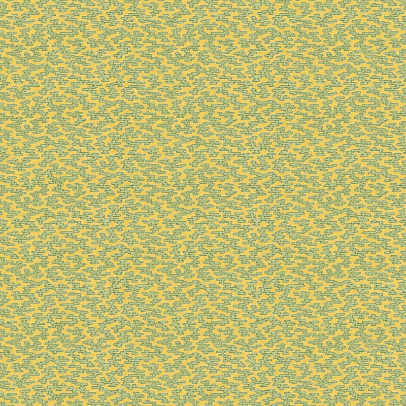 Rubigo Lemon & Lime Wallpaper