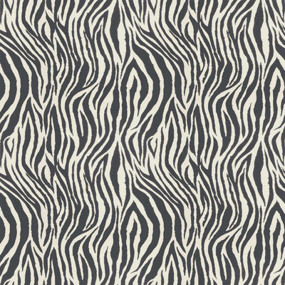 Debra Zebra Ash Wallpaper