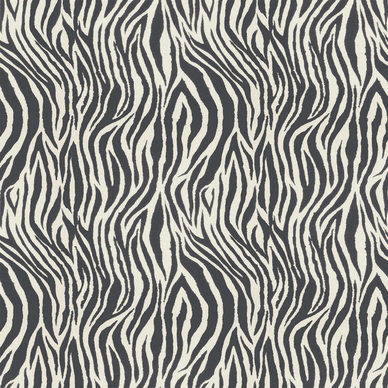 Debra Zebra Ash Wallpaper