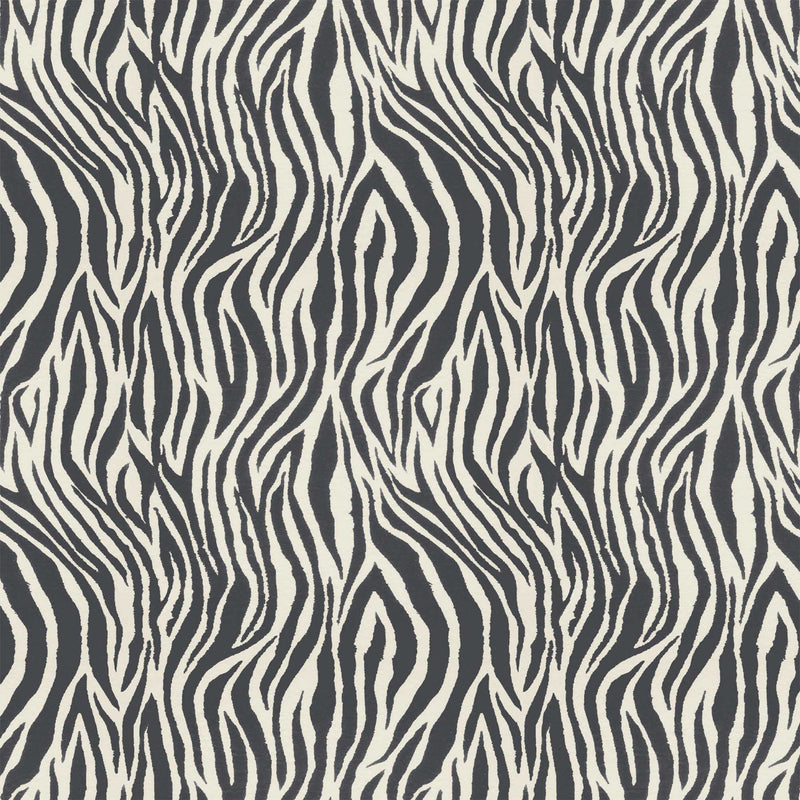 Debra Zebra Ash Wallpaper