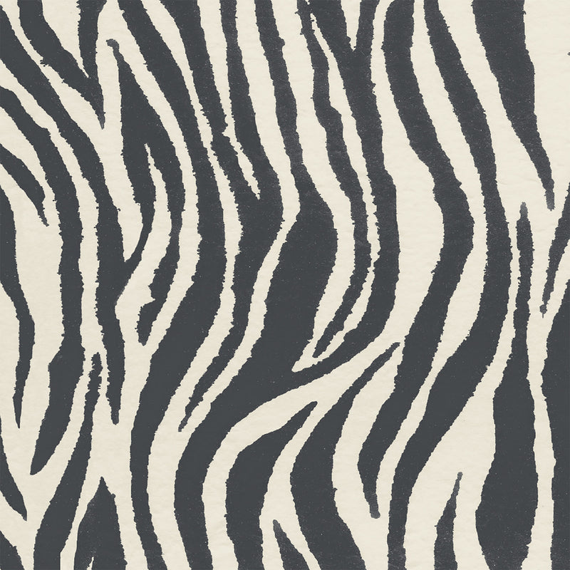 Debra Zebra Ash Wallpaper