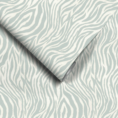 Debra Zebra Darwen Blue Wallpaper