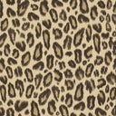 Big Kat Tawny Wallpaper