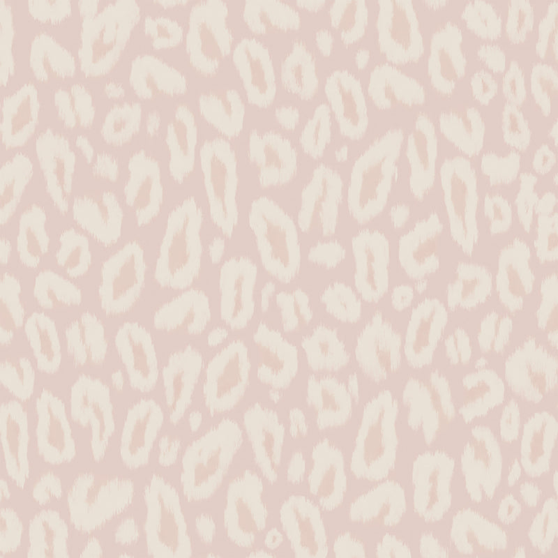 Big Kat Powder Pink Wallpaper