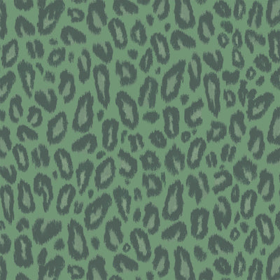Kitten Moss Wallpaper