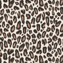 Kitten Brunette Wallpaper