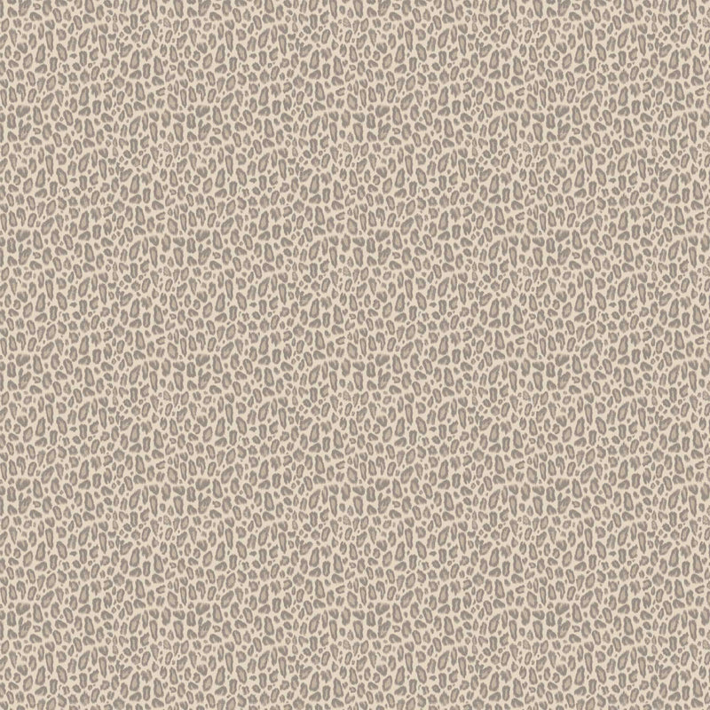 Kitten Oyster Wallpaper