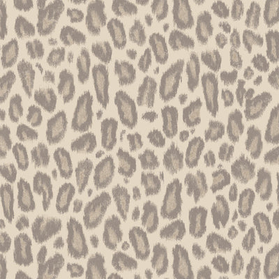 Kitten Oyster Wallpaper