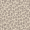 Kitten Oyster Velvet Fabric