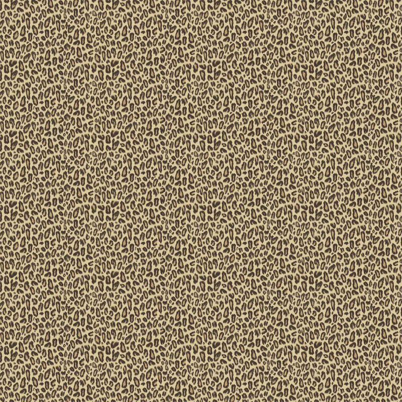 Kitten Tawny Wallpaper