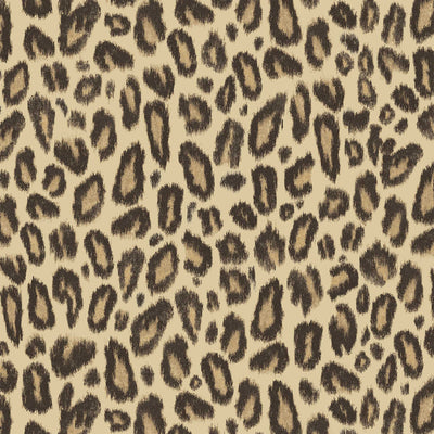 Kitten Tawny Wallpaper
