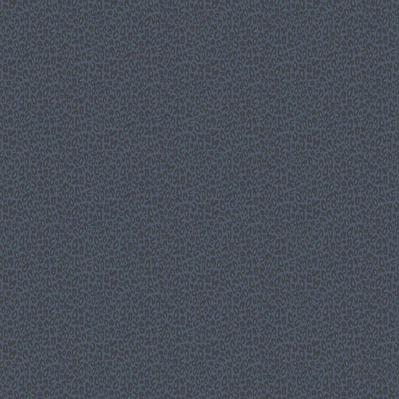 Kitten Navy Wallpaper