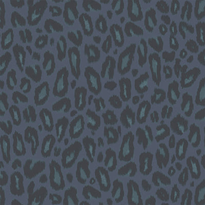 Kitten Navy Wallpaper