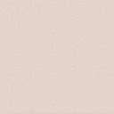 Kitten Powder Pink Wallpaper