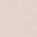 Kitten Powder Pink Wallpaper