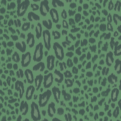 Tabby Kat Moss Stripe Wallpaper