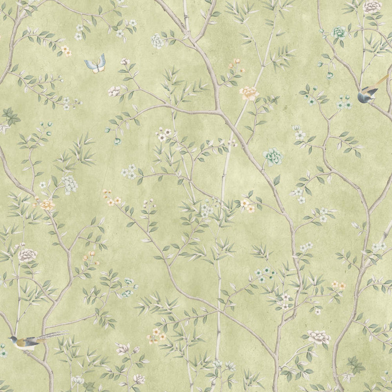 Onism Olive Green Wallpaper