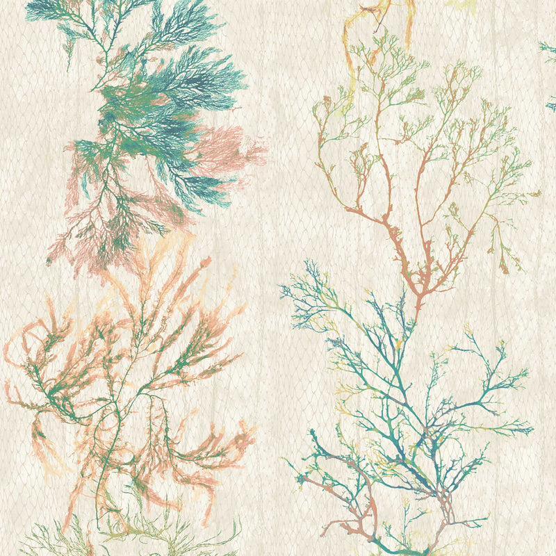 Seagrass Seaweed Stripe in Coral and Kelp Green