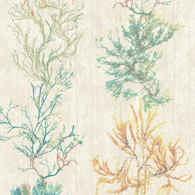 Seagrass Seaweed Stripe in Coral and Kelp Green