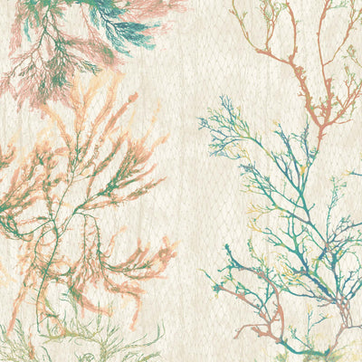 Seagrass Seaweed Stripe in Coral and Kelp Green