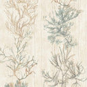 Seagrass Seaweed Stripe Oyster