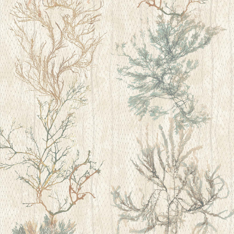 Seagrass Seaweed Stripe Oyster – Botanical Coastal Stripe Wallpaper ...