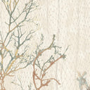 Seagrass Seaweed Stripe Oyster