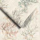Seagrass Seaweed Stripe Oyster