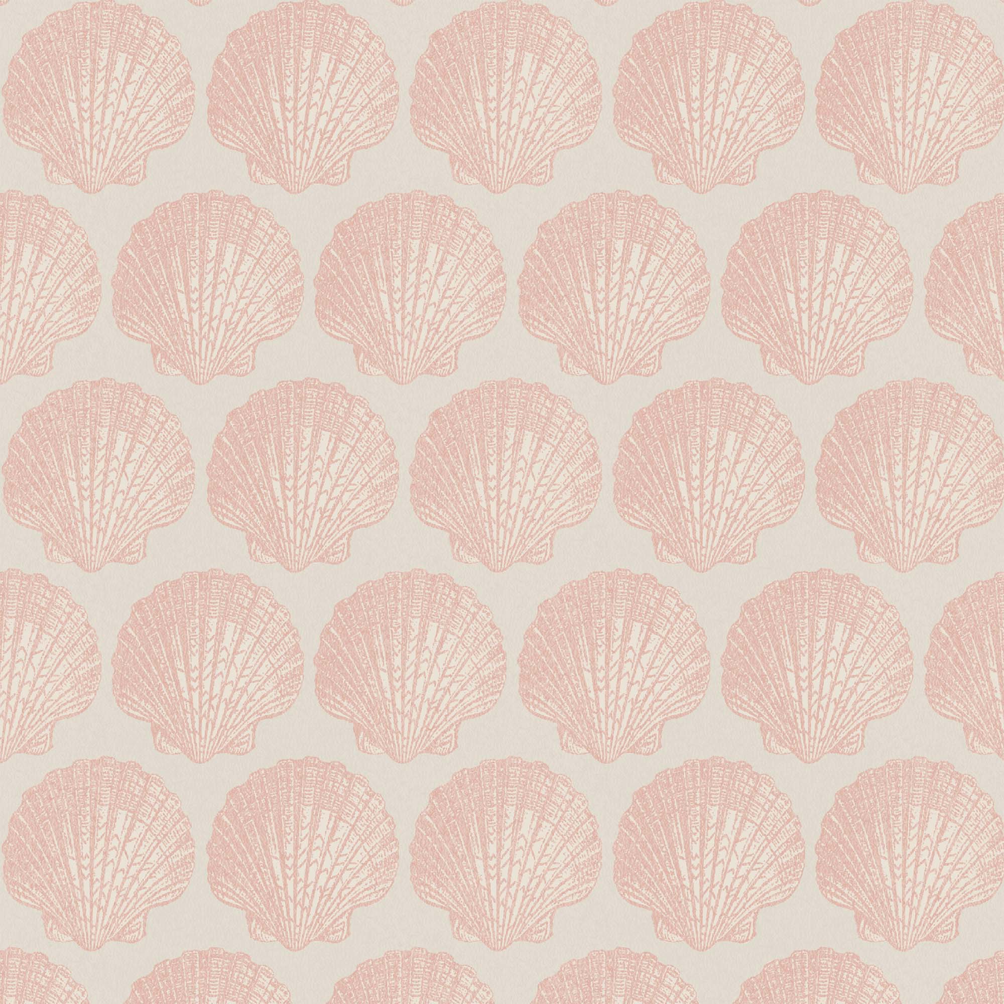 Michelle Blush Wallpaper – Pastel Pink Shells, High Quality, Paste-the ...