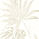 Va Va Frome Magnolia Wallpaper