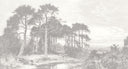 Holcombe Mist Mural