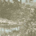 Holcombe Forest Mural