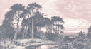 Holcombe Dusk Mural
