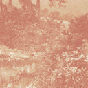 Holcombe Autumn Mural
