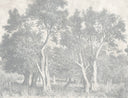 Kielder Greige Mural