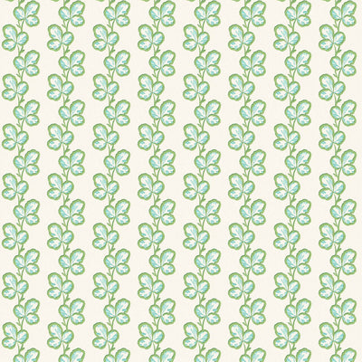 Paddy Olive Aqua Wallpaper