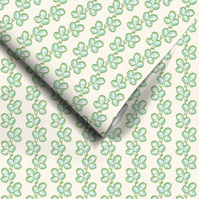 Paddy Olive Aqua Wallpaper