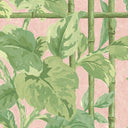 Verdant Trellis Pistachio Blush Wallpaper